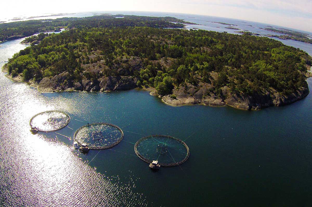 Ilmakuva Salmonfarmin alueelta Kemiönsaarelta